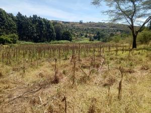 Land for sale Nyeri Nyeri