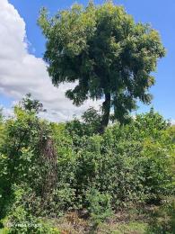 Land for sale Lunga Lunga Kwale