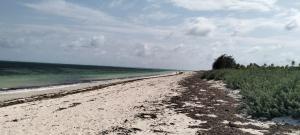 Land for sale Kilifi North Kilifi