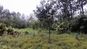 3 bedroom Land for sale Ngong Kajiado