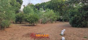 Land for sale Kilifi North Kilifi