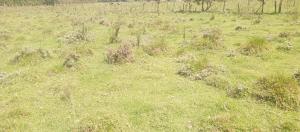 Land for sale Kileleshwa Nairobi