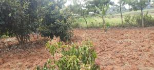 Land for sale Limuru Central Kiambu