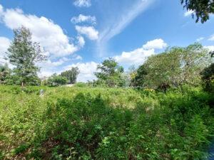 Land for sale Ridgeways Nairobi