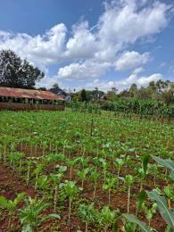 Land for sale Karen Nairobi