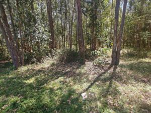 Residential Land for sale Ridgeways Estate, Ridgeways Ridgeways Nairobi