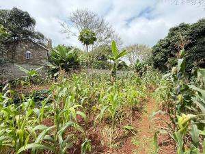Land for sale Kitisuru Nairobi