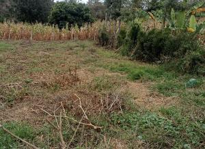 Land for sale Ngong Kajiado
