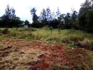Residential Land for sale Garden Estate  Garden Estate Nairobi