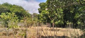 Land for sale Magarini Kilifi