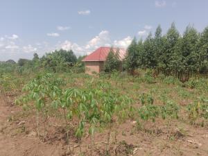 Land for sale Gayaza dungu Gayaza Wakiso Central