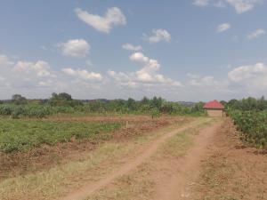 Land for sale Gayaza road  Gayaza Wakiso Central