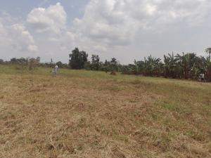 Land for sale Gayaza nakasajja Gayaza Wakiso Central