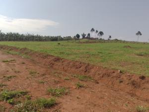 Land for sale Namugongo  Kampala Central