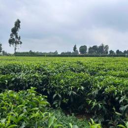 Land for sale Tigoni Limuru