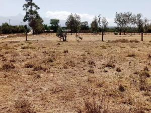 Land for sale Nanyuki Nanyuki