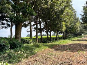 Land for sale Limuru Central Kiambu
