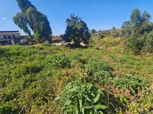 Land for sale Limuru Central Kiambu