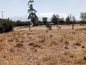 Land for sale Nanyuki Nanyuki