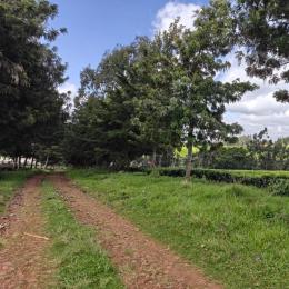 Land for sale Tigoni Limuru