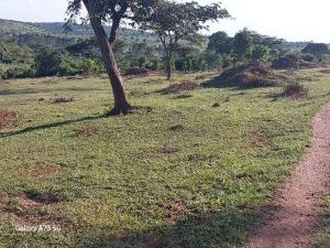 Land for sale Sembabule  Sembabule Central