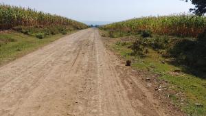 Land for sale Elburgon Nakuru