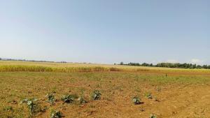 Land for sale Nakuru East Nakuru