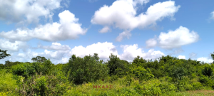 Land for sale Malindi Kilifi