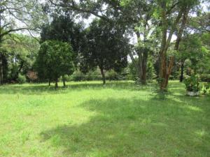Residential Land for sale Koitobos Rd, Karen Nairobi
