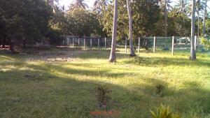 Land for sale Kilifi North Kilifi