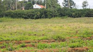 Land for sale Karen Nairobi