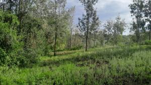 Land for sale Ngong Kajiado