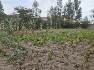 Land for sale Syokimau Nairobi