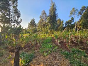 Land for sale Kikuyu Kiambu