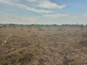 Land for sale Kiserian Kiserian