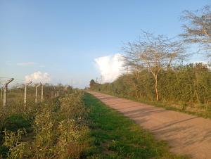 Land for sale Kinanie Machakos