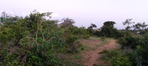 Land for sale Malindi Kilifi