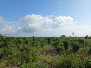 Land for sale Malindi Kilifi