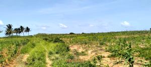 Land for sale Kilifi North Kilifi