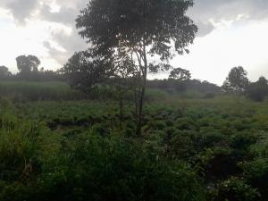 Land for sale Nkokonjeru  Buikwe Central