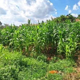 Land for sale Mukono kayunga road  Kampala Central Kampala Central
