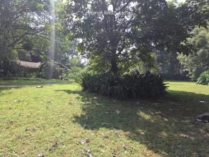 Land for sale Kitisuru Nairobi