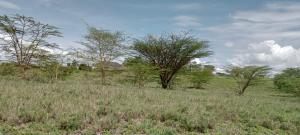 Land for sale Isinya Isinya