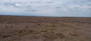 Land for sale Nanyuki Nanyuki
