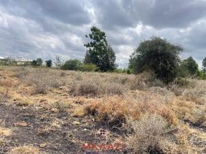 Land for sale Kaputiei North Kajiado