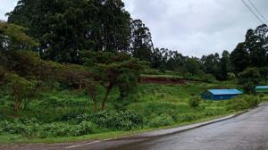 Land for sale Goldhandas road, Tigoni Limuru
