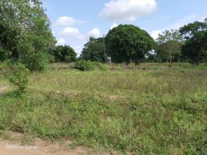 Land for sale Lunga Lunga Kwale