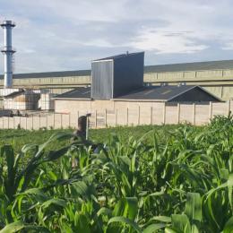 Land for sale Njeru near modern tiles factory  Buikwe Central
