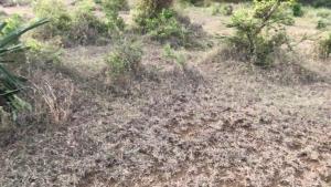 Land for sale Miritini Mombasa