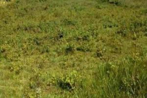 Land for sale Maragwa Murang'a